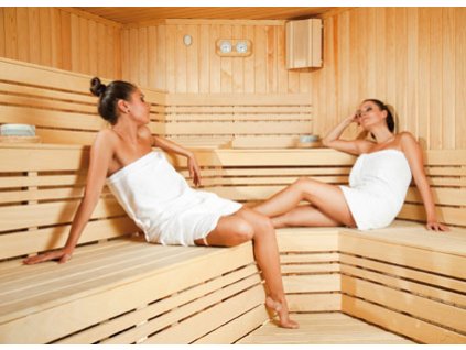 14877 deluxe 4005 carbon infrasauna