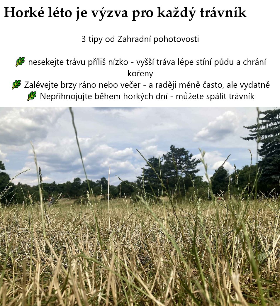 tipy na horké léto