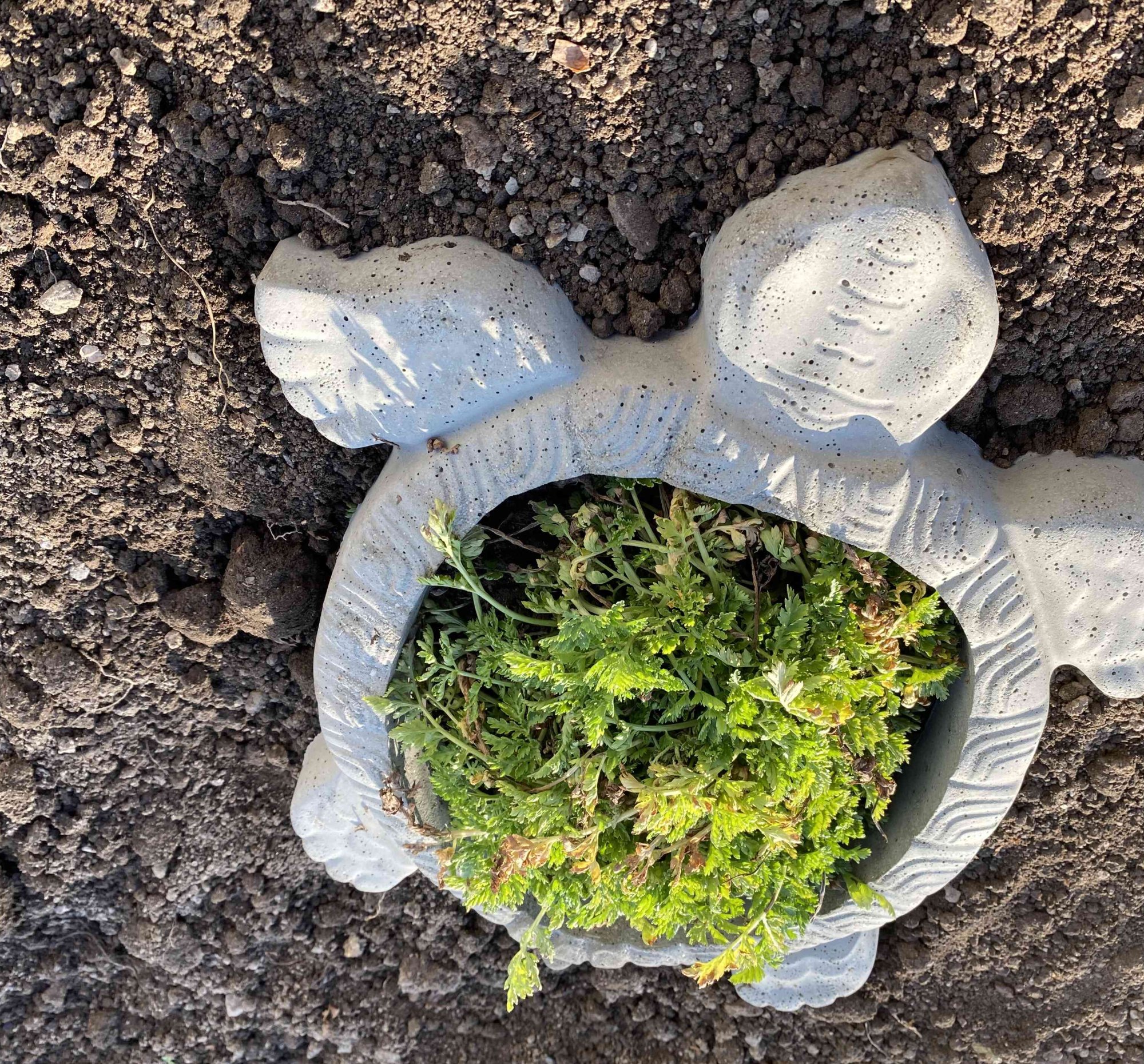 Okrasný vyvýšený záhon ve tvaru želvy