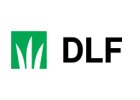 DLF