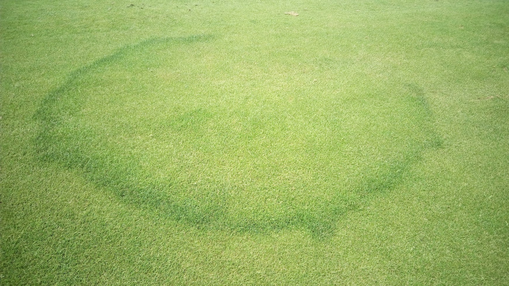 fairyring