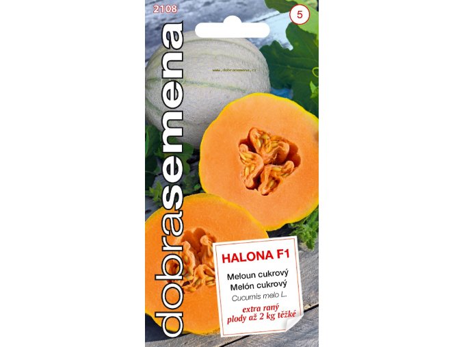 MELOUN HALONA F1 - cukrový 10 ks