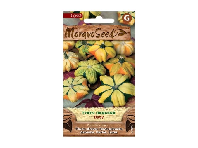 TYKEV OKRASNÁ - DAISY 1 g