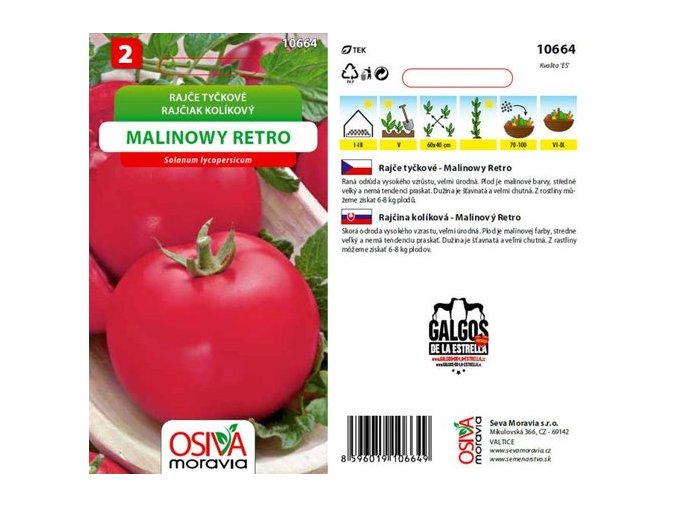 RAJČE TYČKOVÉ - MALINOWY RETRO