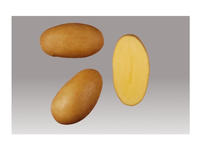 Sadbové brambory - Monika