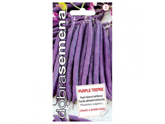 FAZOLE PURPLE TEEPEE - keříčková 10 g