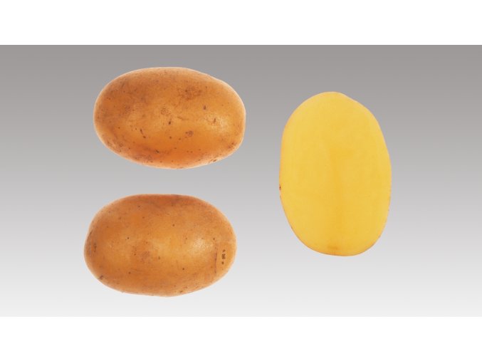 Sadbové brambory - Dominika