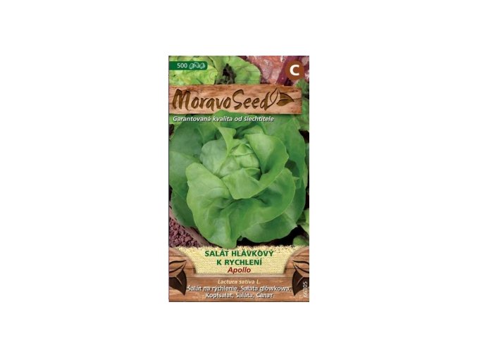 SALÁT APOLLO - hlávkový k rychlení