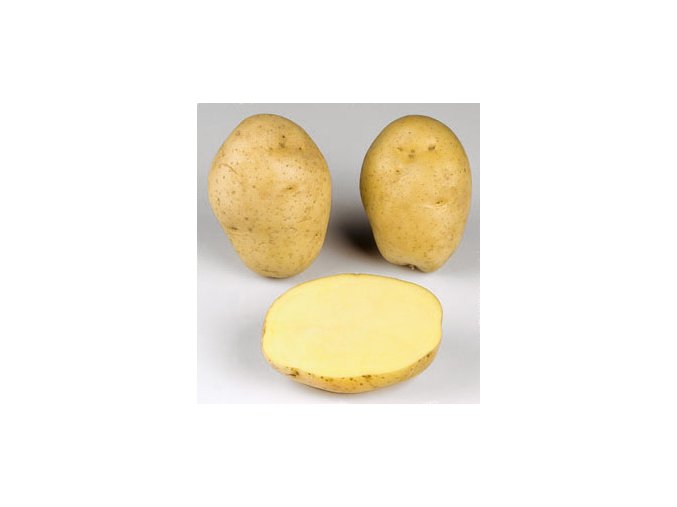 Sadbové brambory - Marabel