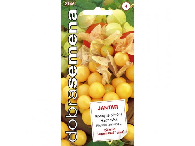 MOCHYNÉ OJÍNĚNÁ - JANTAR ANANASOVÁ