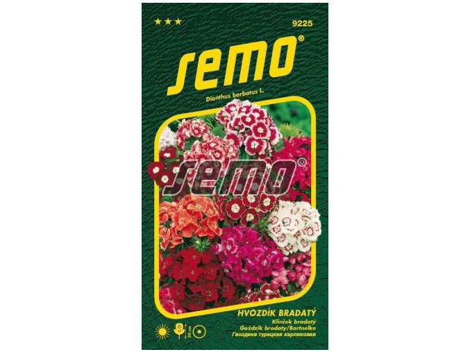HVOZDÍK  BRADATÝ  - jednoletý směs 0.3 g