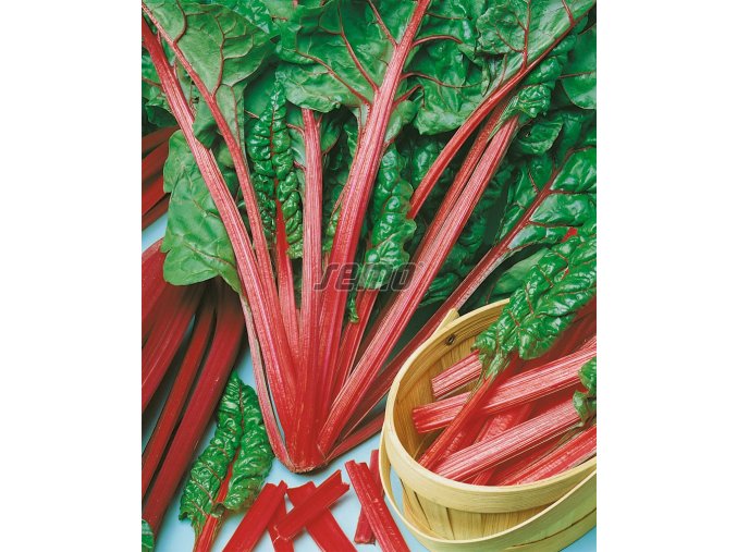 MANGOLD - RHUBARB CHARD 3 g