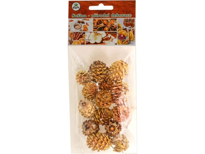 Dekorace - Sušina šiška salignum 14 ks