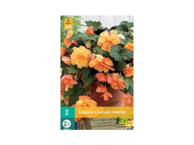 2c598b2c 5fed 491a a6c7 5ba59ef50c81