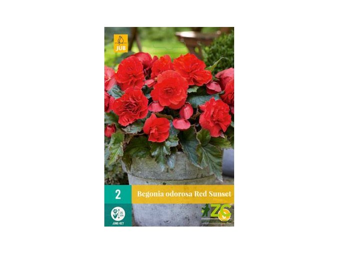 bd275f7d 31a1 4233 ab5e 3b52d6a2733c