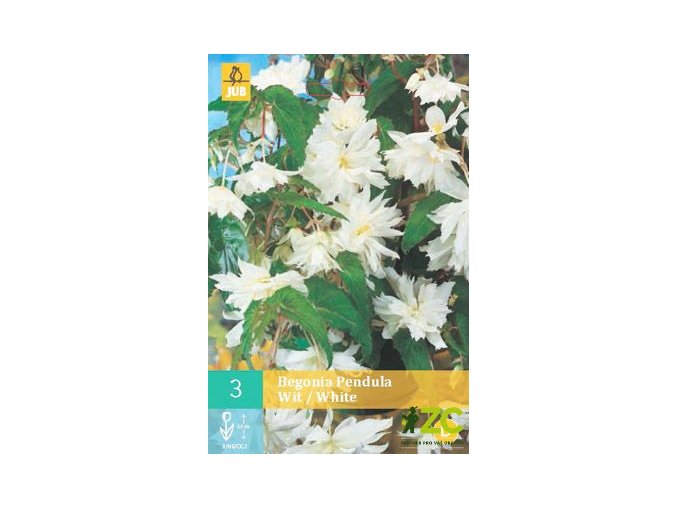 3501e8d5 e099 4b43 825e 2855899659cb