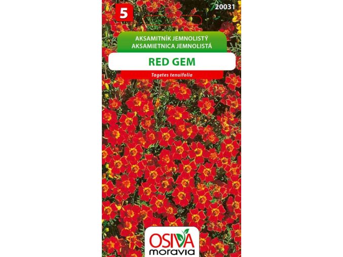 aksamitnik jemnolisty red gem 0 2 g