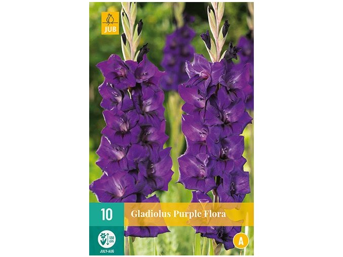 karta mecik purple flora 10 cibuli