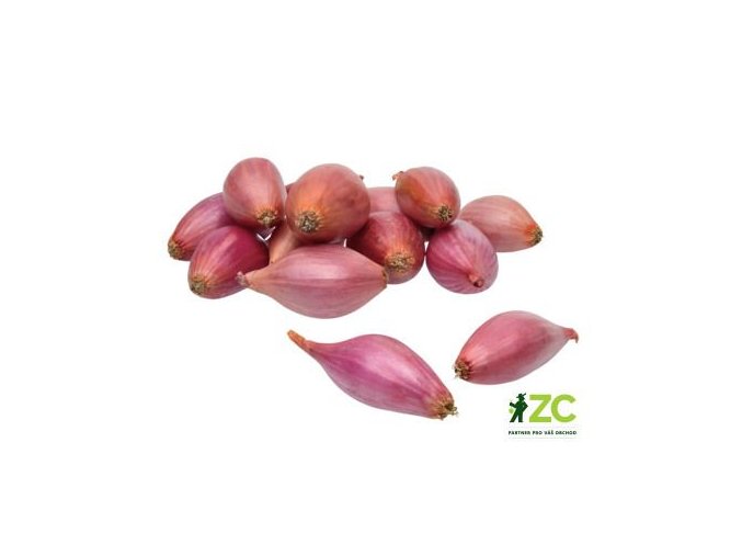 sazecka cibule rosanna ruzova