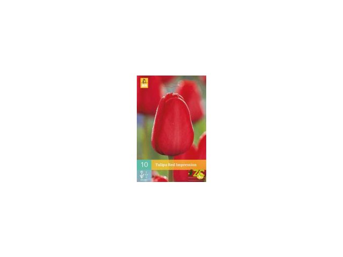 Karta Tulipán Red Impression (10 cibulí)