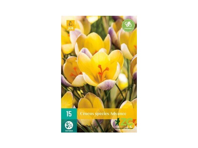 Karta Krokus Advance (15 cibulí)