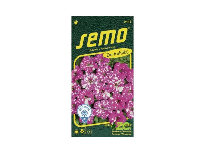 petunie mnohokveta dot star deep pink f1 40 p