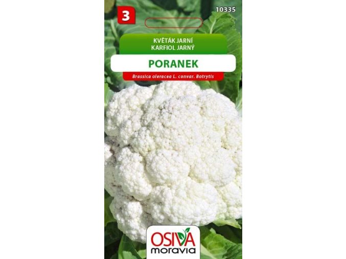 KVĚTÁK PORANEK - jarní středněraný 0,4 g