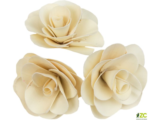 dekorace palm deco rose 6 cm 50 ks