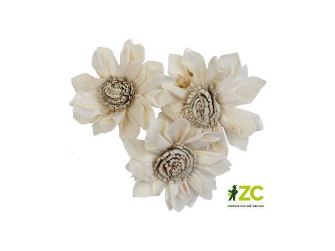 dekorace sola folded star protea 6 cm 3 ks