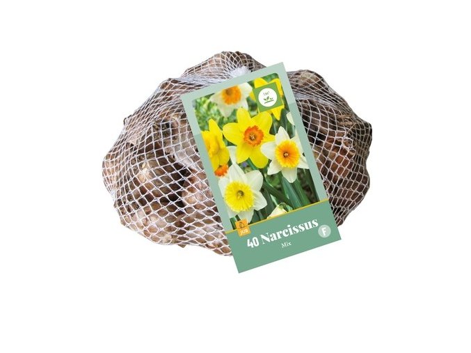 sitka-xxl-narcis-large-cupped-mix--40-cibuli-