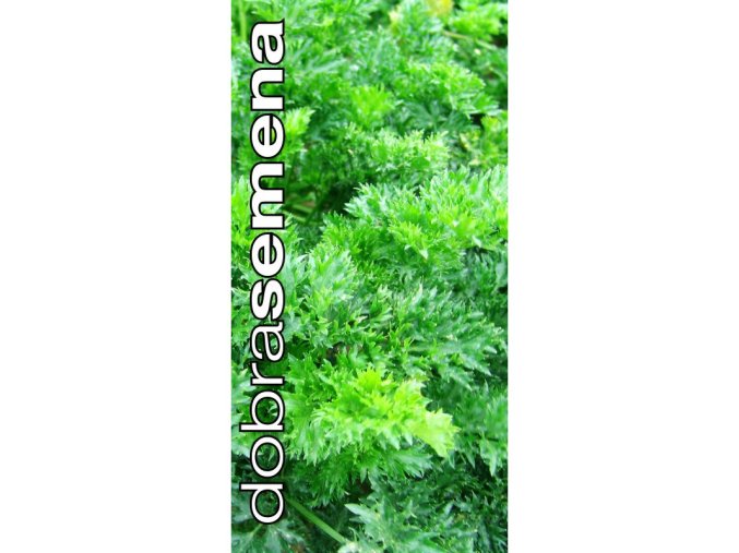 celer listovy pikant 0 2 g