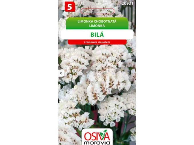 limonka-chobotnata-statice--bila-0-2-g