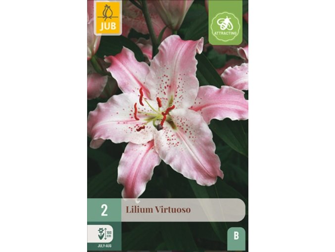 karta-lilie-virtuoso--2-cibule-b-