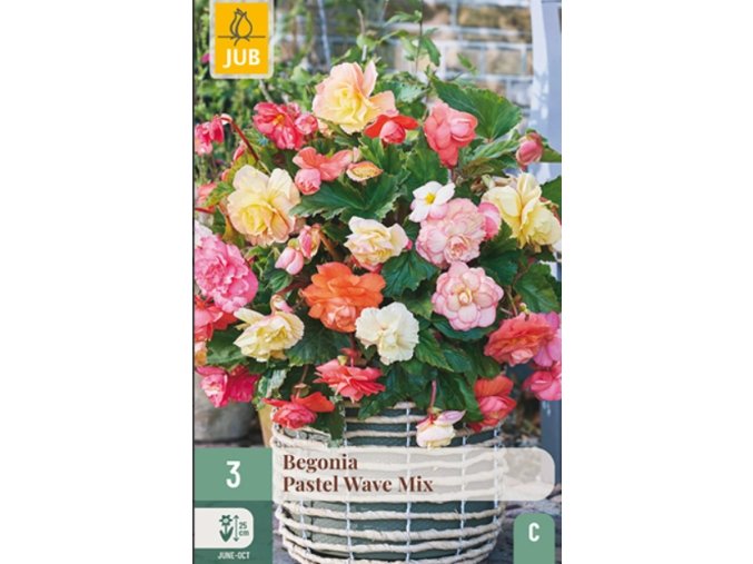 Snímek obrazovky 2026 02 04 125436