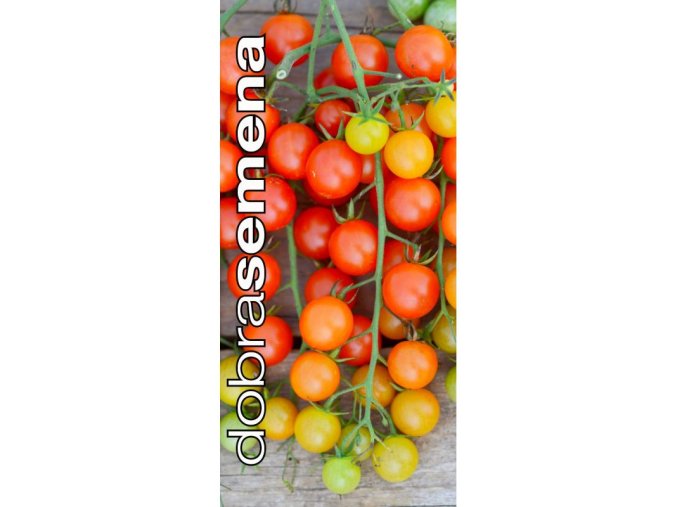 rajce tyckove perlino red f1 10 s