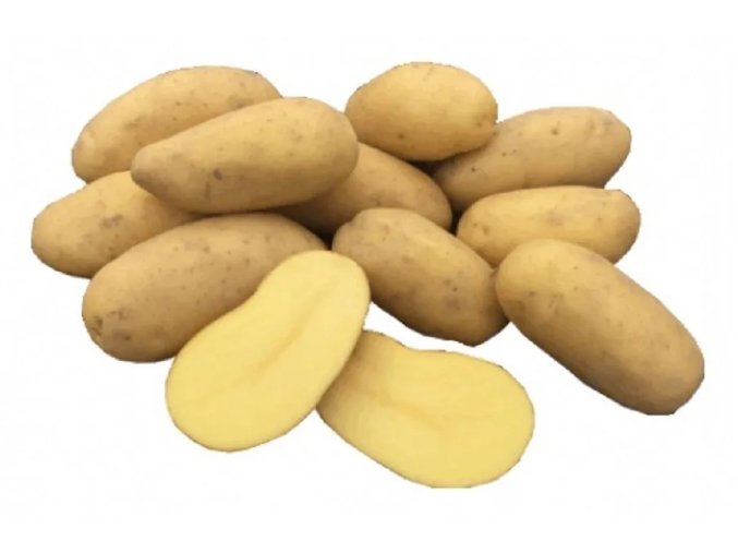 sadbove brambory sunita 25 kg