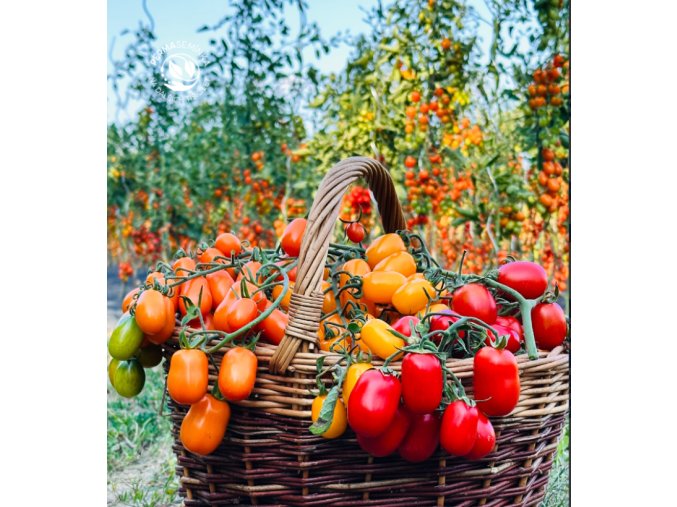 rajce-tyckove-vejce-ptaka-ohnivaka-20s