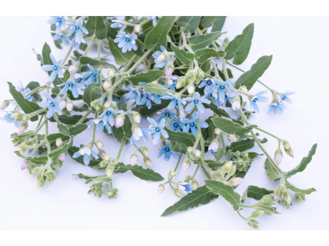 tvidie-havenly-blue-25s