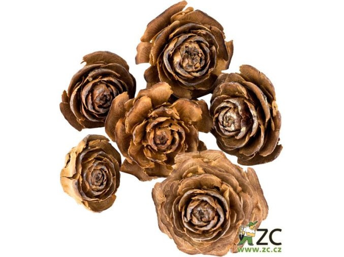 Dekorace - přízdoba - Cedar rose