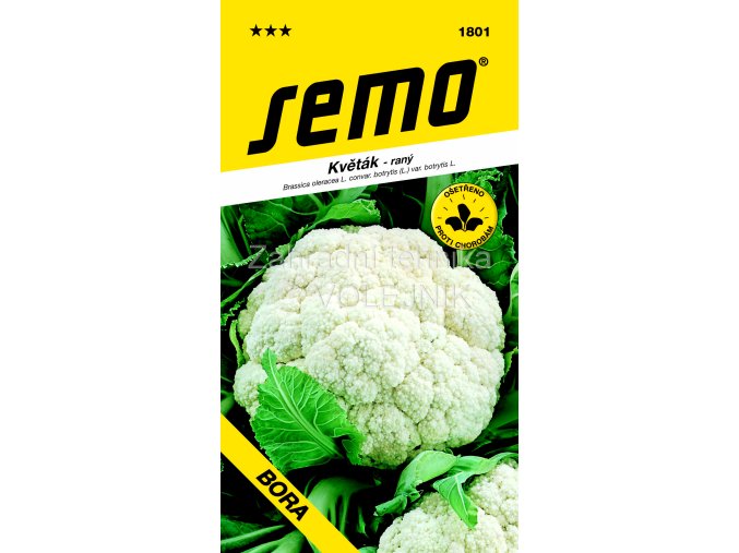 KVĚTÁK BORA - jarní raný 0.5 g