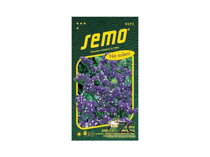 STATICE KAMPFS BLUE - fialová 0.5 g
