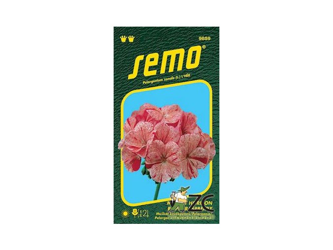 PELARGONIE PÁSKATÁ - HORIZON RIPPLE RASPBERRY 11 s