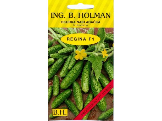 OKURKA REGINA F1 - nakladačka 2.5 g