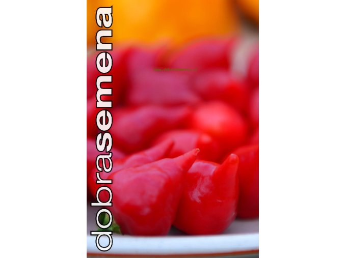 PAPRIKA PEITO DE MOCA - středně pálivá 10 s