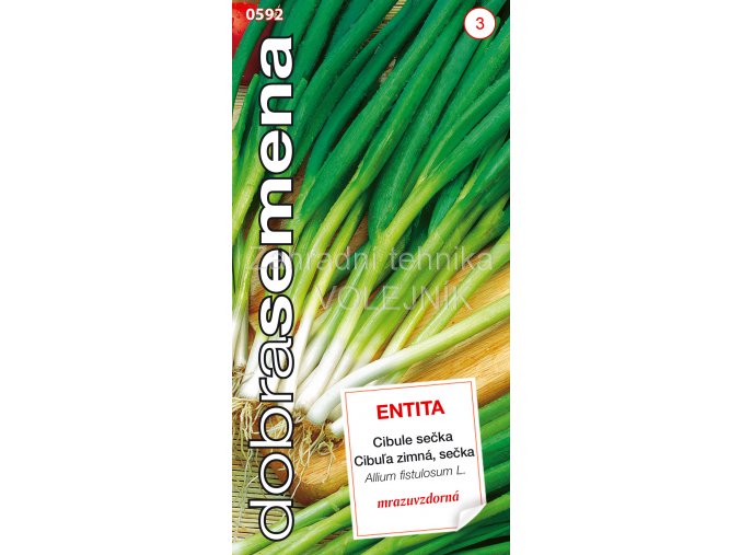 CIBULE SEČKA - ENTITA zimní 1.8 g