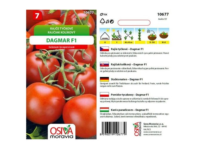 RAJČE TYČKOVÉ - DAGMAR F1 0.2 g