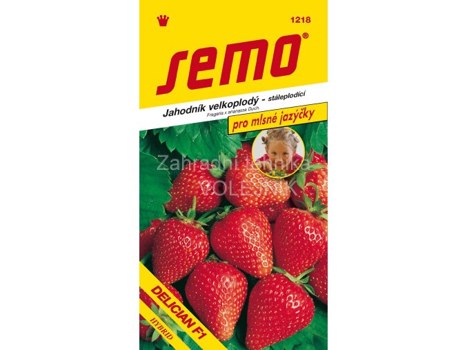 JAHODNÍK DELICIAN F1 - stáleplodící 12 s