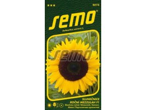 SLUNEČNICE ROČNÍ - MEZZULAH  F1 10 s