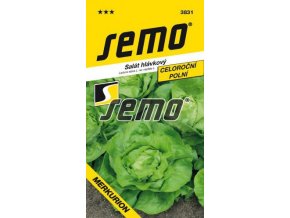 SALÁT MERKURION - celoroční 0.6 g