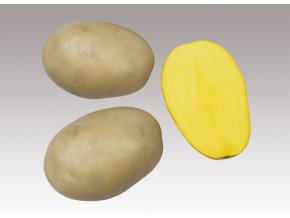 sadbove brambory alice 5kg